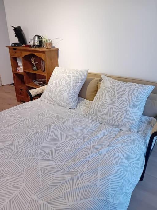 Appartement 2 Pieces Le Louveteau 阿尔布瓦 外观 照片